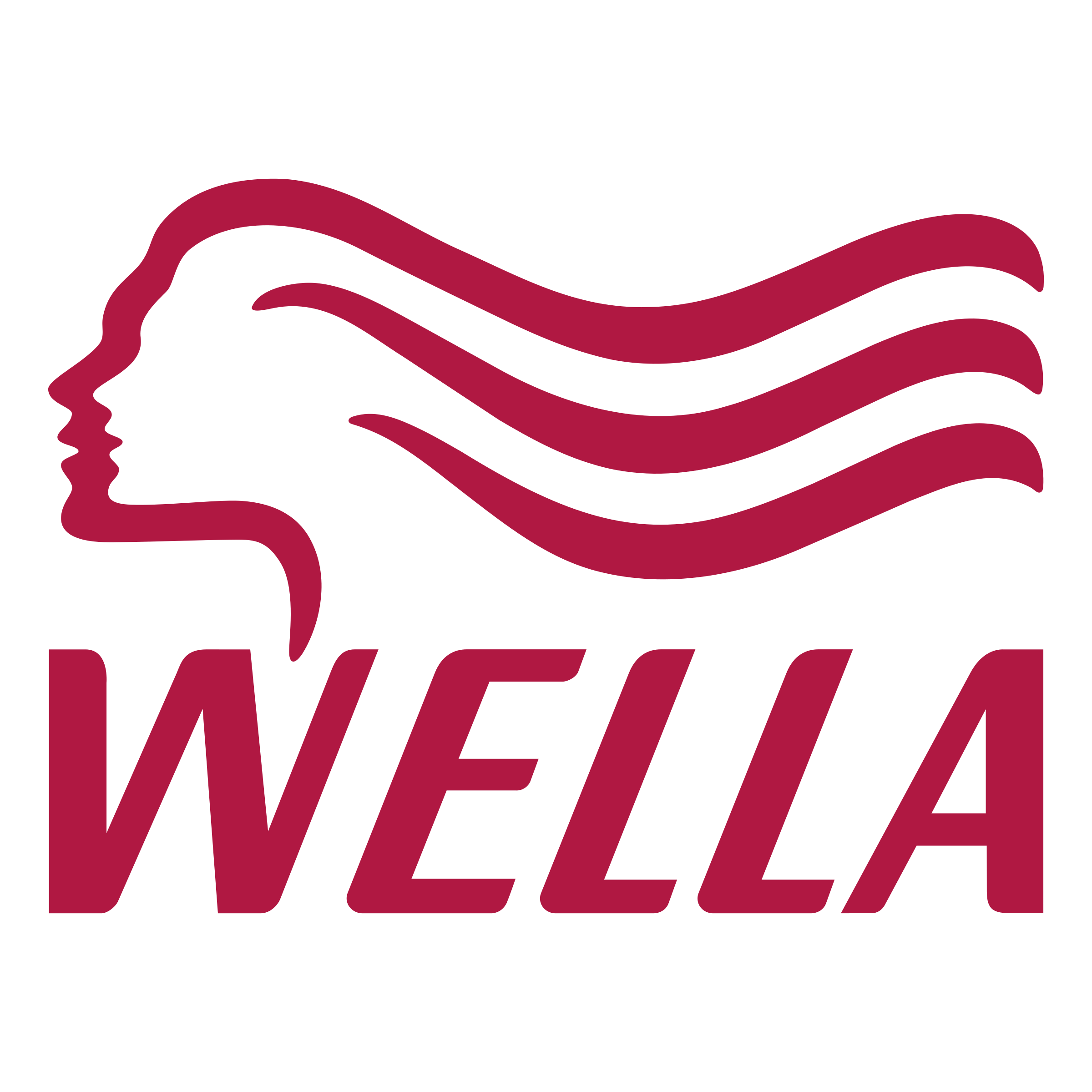 Wella Professional Hair Products